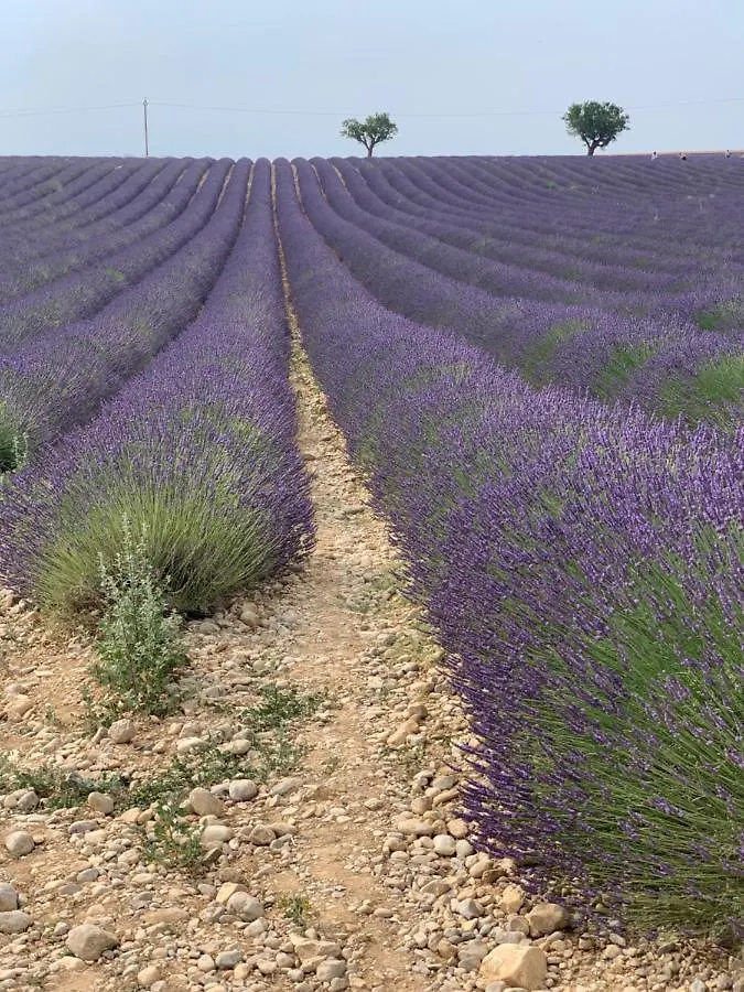 Studio Nuitee En Provence 2 Éguilles 0*,  프랑스
